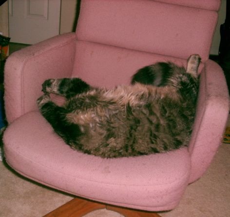 It's My Chair!